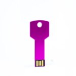 Factory Directly Selling Key Shape Usb Key Ring PenDrive Waterproof 4GB 8GB 16GB 32GB Metal Key Usb Flash Drive Free Screen logo - Image 2