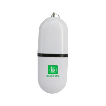 Plastic Casing Usb Personalizados 1GB 2GB 4GB 8GB 16GB 32GB Usb Drive Promotional Thumb Drive Usb Pen Drives Wholesale