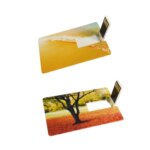 Promotional Gift Custom Credit Card Usb Flash Drive Pen Drive Memory Stick Usb Card 64GB 32GB 16GB 4GB 8GB Pendrive - Image 6